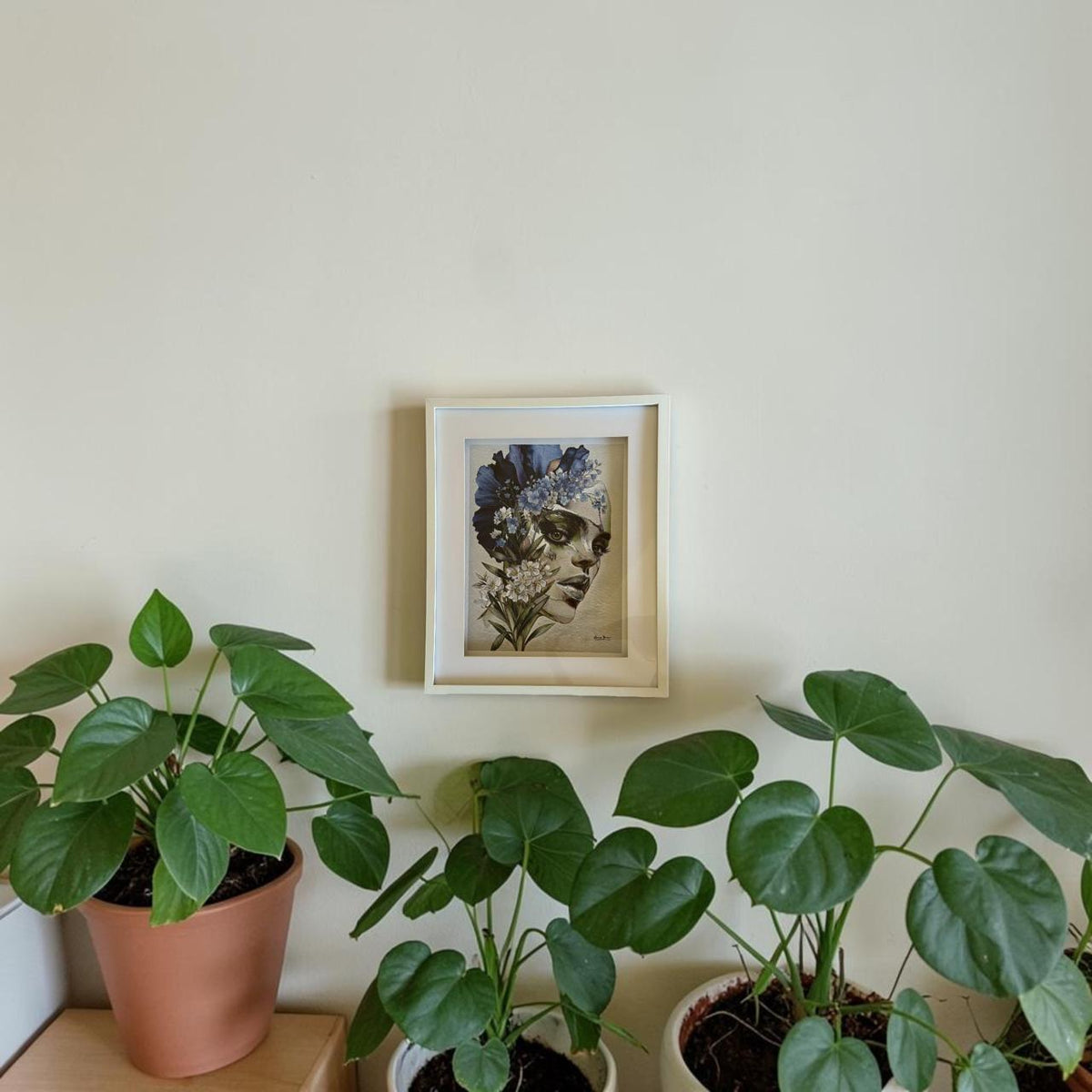Fractura Floral